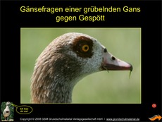 Präsentation-Gänsefragen.pdf